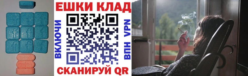 ЭКСТАЗИ TESLA  Новая Ладога 