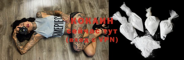 шишки Волоколамск