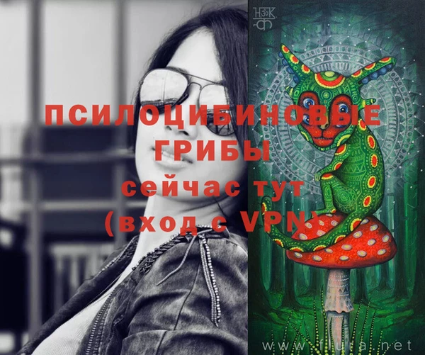 шишки Волоколамск