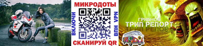 Псилоцибиновые грибы Cubensis Новая Ладога
