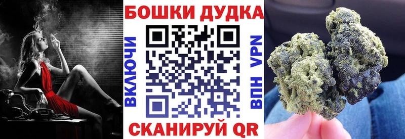 blacksprut ссылки  Новая Ладога  Бошки марихуана планчик 